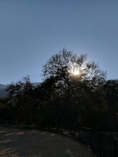 Cubby's Dog Park - Pleasanton, CA