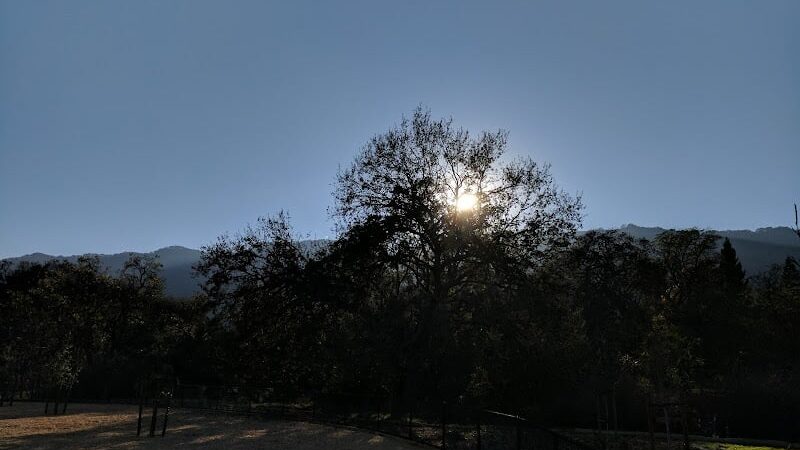 Cubby's Dog Park - Pleasanton, CA