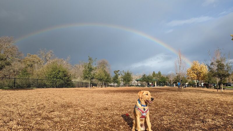 Cubby's Dog Park - Pleasanton, CA