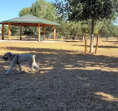 Cubby's Dog Park - Pleasanton, CA
