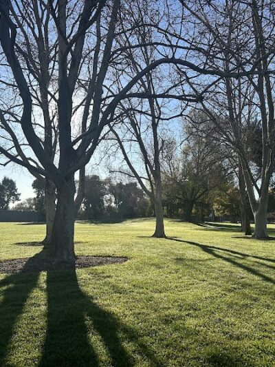 Dog Park for smaller dogs - Pleasanton, CA