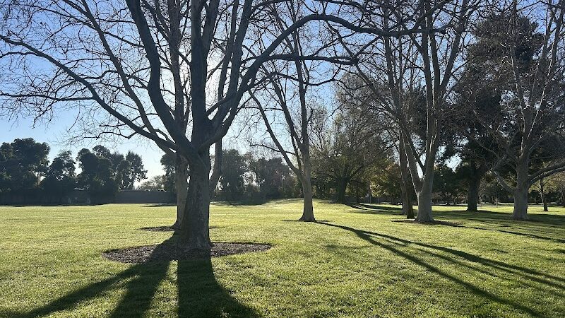 Dog Park for smaller dogs - Pleasanton, CA