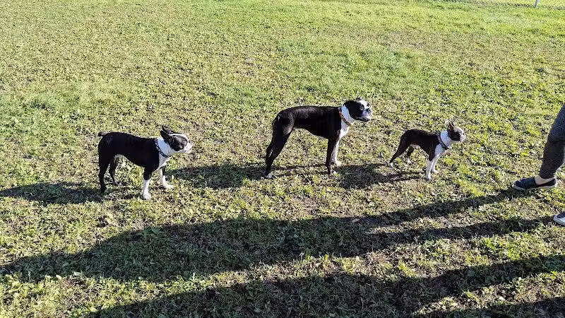 4 Paws Dog Park - Plymouth,