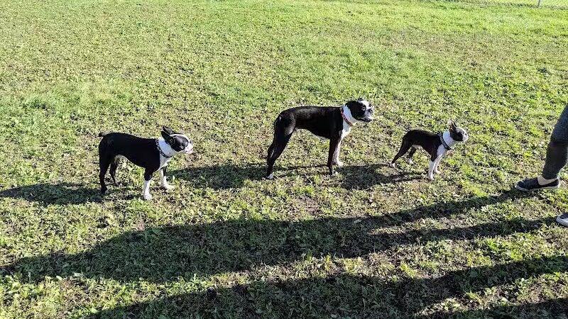 4 Paws Dog Park - Plymouth,