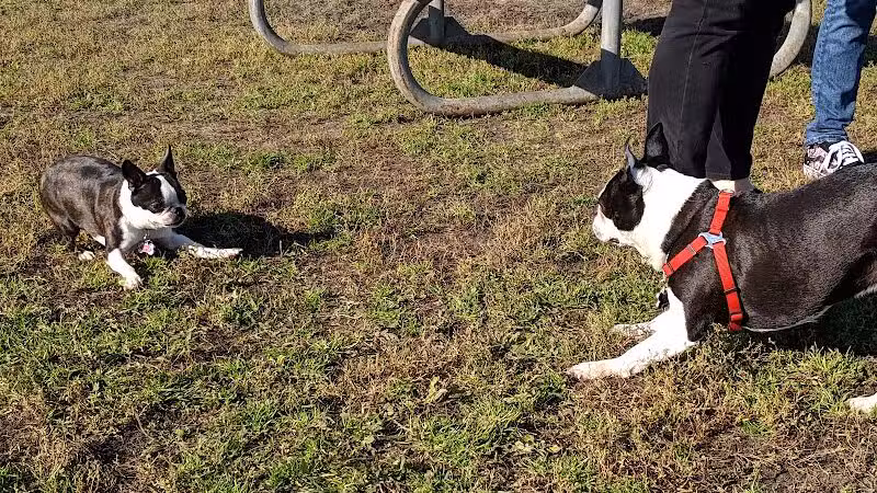 4 Paws Dog Park - Plymouth,