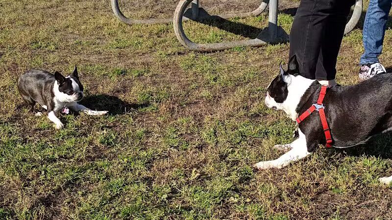 4 Paws Dog Park - Plymouth,