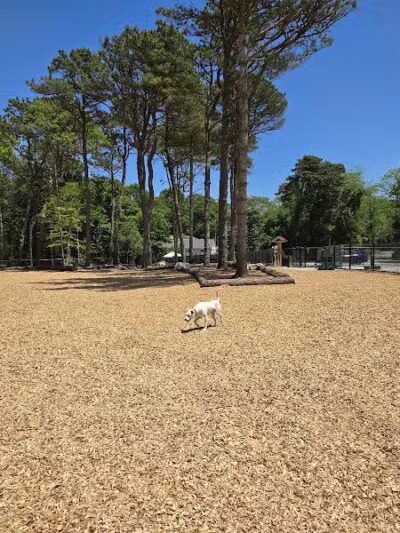 Cedarville Dog Park - Plymouth,