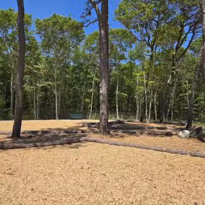 Cedarville Dog Park - Plymouth,