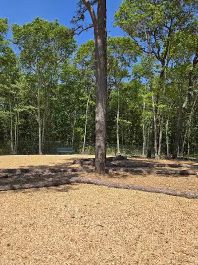 Cedarville Dog Park - Plymouth,