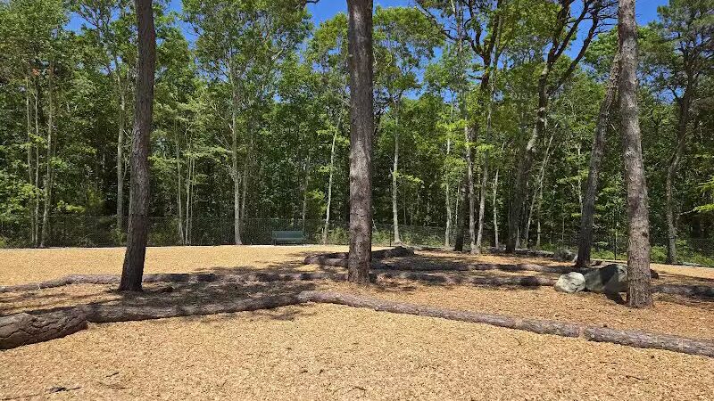 Cedarville Dog Park - Plymouth,