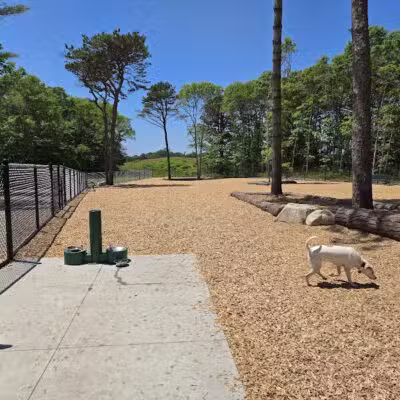 Cedarville Dog Park - Plymouth,