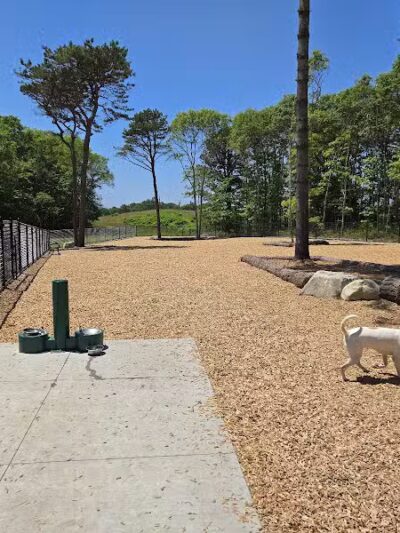 Cedarville Dog Park - Plymouth,