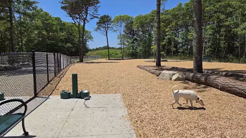 Cedarville Dog Park - Plymouth,
