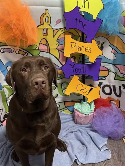 Dogtopia of Plymouth - Plymouth,