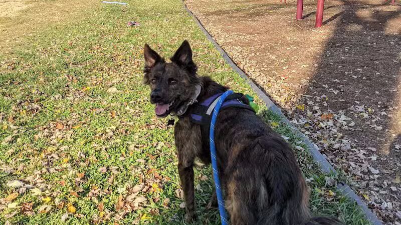 Fairground Park - Plymouth,