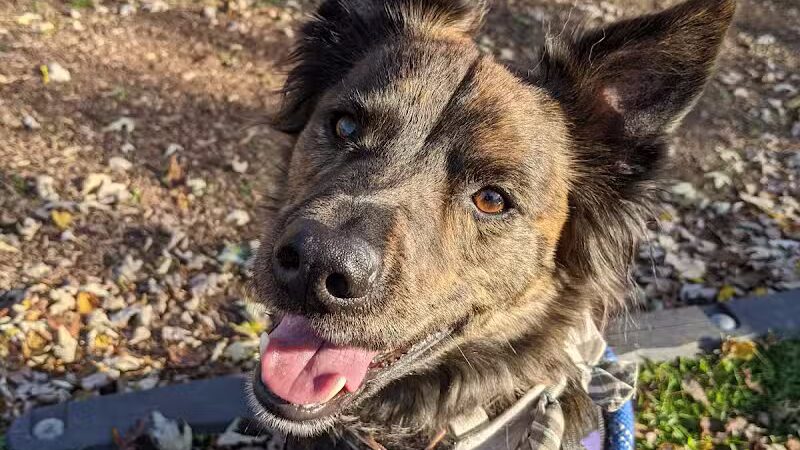 Fairground Park - Plymouth,