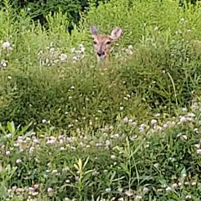 East Plymouth Valley Park - Plymouth Meeting, PA