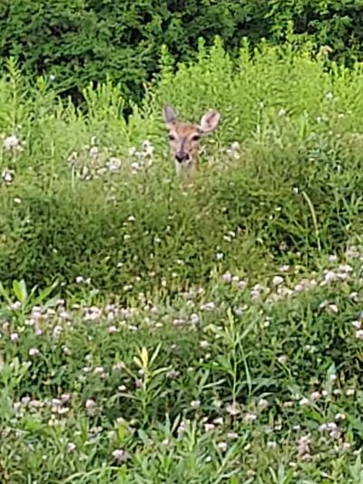 East Plymouth Valley Park - Plymouth Meeting, PA