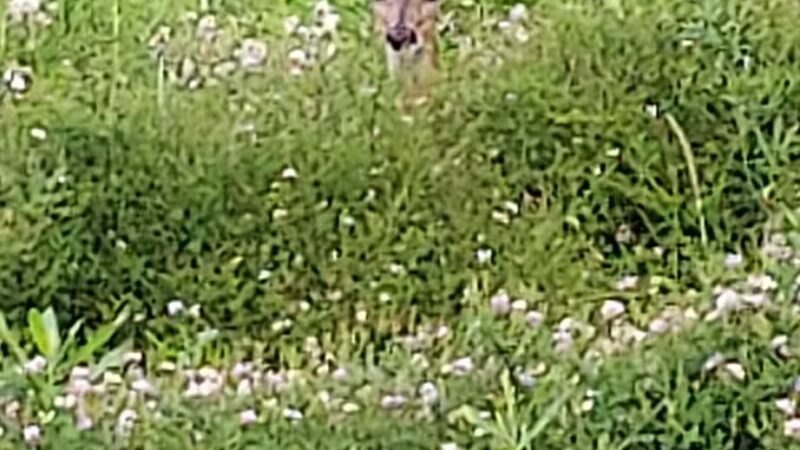 East Plymouth Valley Park - Plymouth Meeting, PA