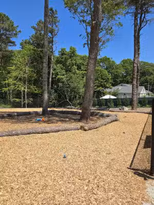 Cedarville Dog Park - Plymouth,