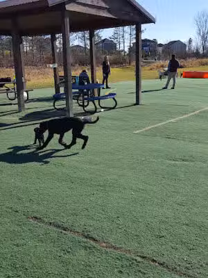 Plymouth Dog Park - Plymouth,