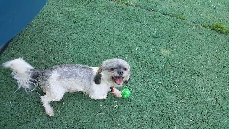 Plymouth Dog Park - Plymouth, MN