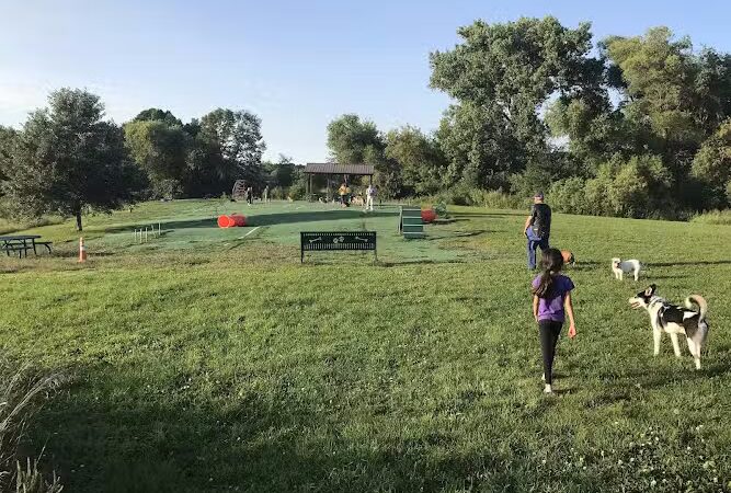 Plymouth Dog Park - Plymouth, MN