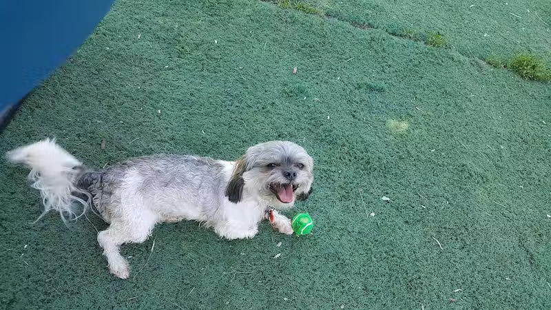 Plymouth Dog Park - Plymouth,