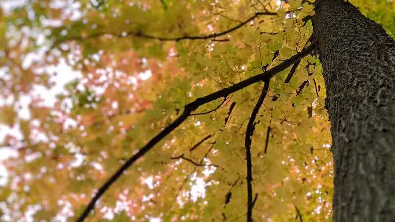 Plymouth Riverside Recreation Area - Plymouth,