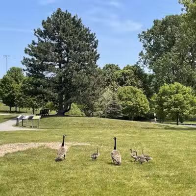 Plymouth Township Park - Plymouth,