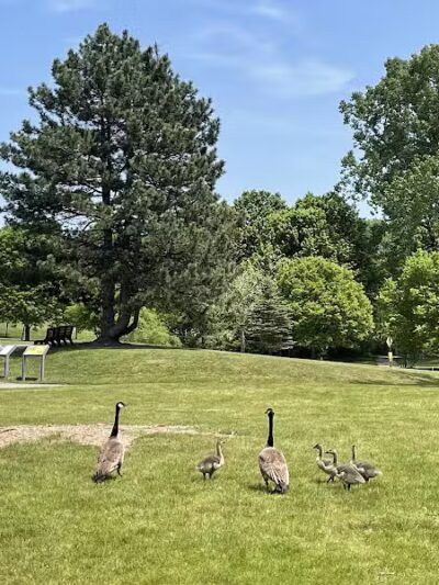 Plymouth Township Park - Plymouth,