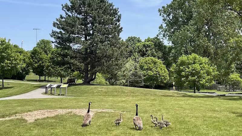 Plymouth Township Park - Plymouth,