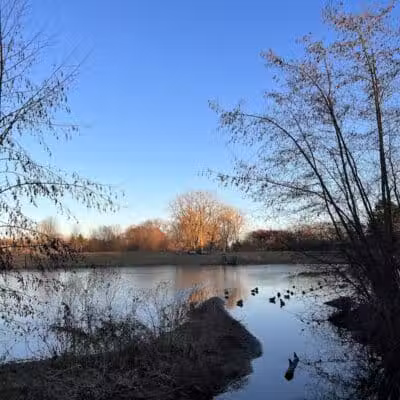 Plymouth Township Park - Plymouth,