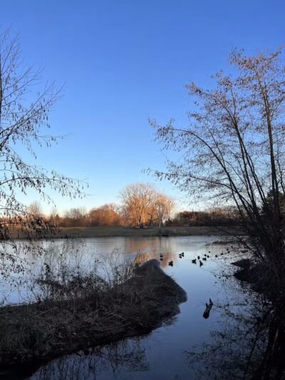 Plymouth Township Park - Plymouth,