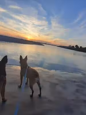 Ponce Inlet Dog Beach - Ponce Inlet, FL