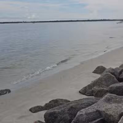 Ponce Inlet Dog Beach - Ponce Inlet, FL