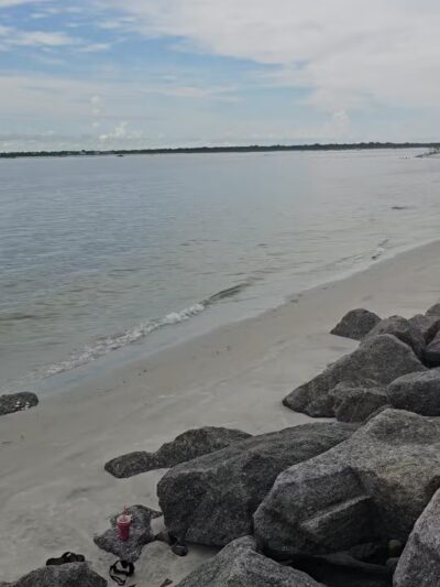 Ponce Inlet Dog Beach - Ponce Inlet, FL
