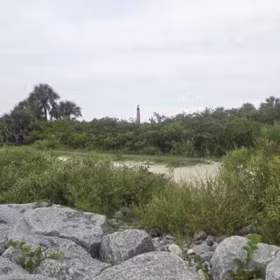 Ponce Inlet Dog Beach - Ponce Inlet, FL