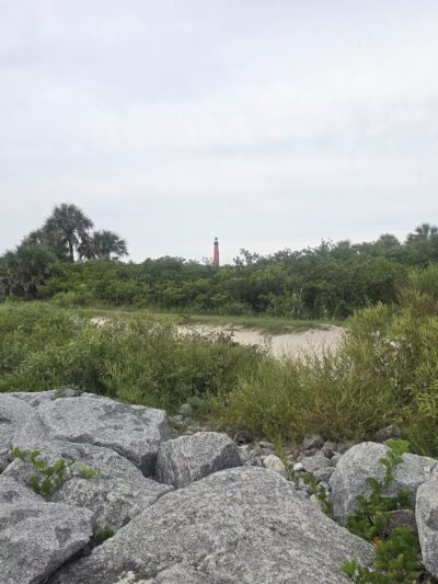 Ponce Inlet Dog Beach - Ponce Inlet, FL