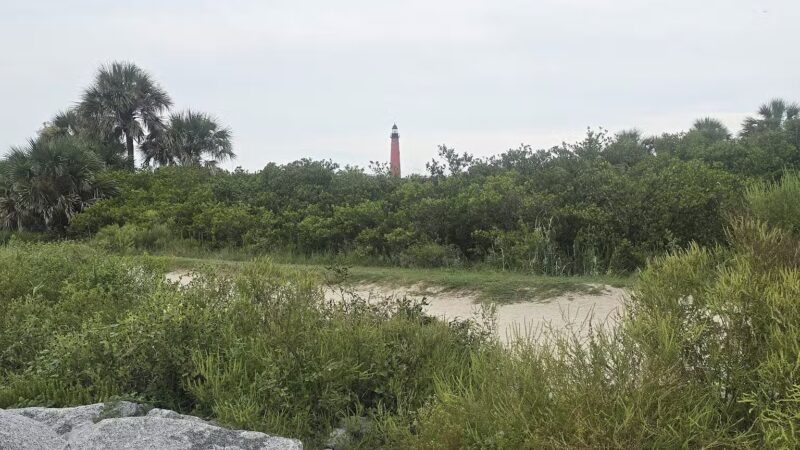 Ponce Inlet Dog Beach - Ponce Inlet, FL