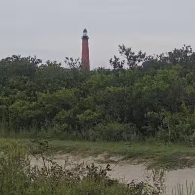Ponce Inlet Dog Beach - Ponce Inlet, FL