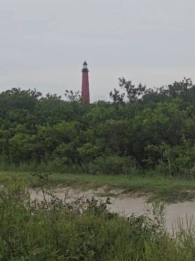 Ponce Inlet Dog Beach - Ponce Inlet, FL