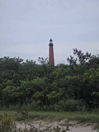 Ponce Inlet Dog Beach - Ponce Inlet, FL