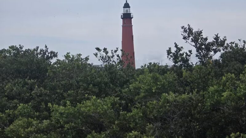 Ponce Inlet Dog Beach - Ponce Inlet, FL