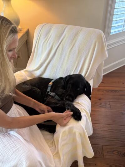 DogBeach - Ponte Vedra Beach, FL