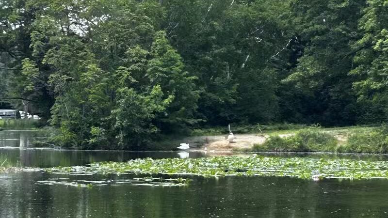 Beaudette Park - Pontiac, MI