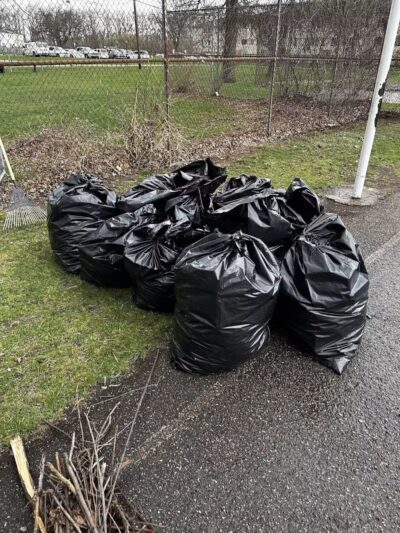 Cherry Lawn Park - Pontiac, MI