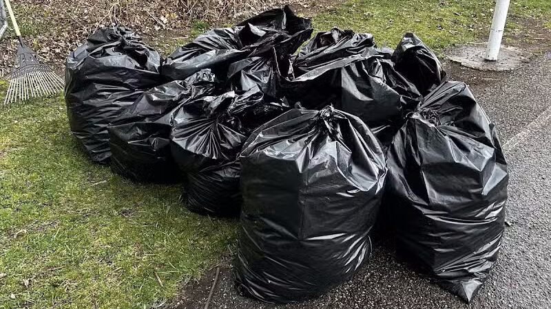 Cherry Lawn Park - Pontiac, MI