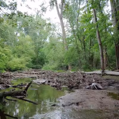 Clinton River Trail, Pontiac - Pontiac, MI