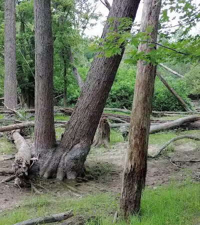 Clinton River Trail, Pontiac - Pontiac, MI